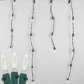 Novelty Lights, Inc. M5 Christmas LED Icicle Light Set, Warm White, Green Wire, 15' Long, 150 Light