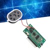 PenRux AI Intelligent Voice Recognition Module, Offline Speak Control Development