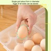 Egg Box For Refrigerator - Egg Container For Fridge |