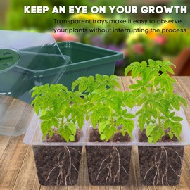 MIXC 10 Packs Seed Starter Tray Seed Starter Kit (60 Cells Total Tray) Seed Starting Trays Plant Starter Kit and Base Mini Greenhouse Germination Kit