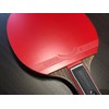 RIZER Legend X9 Table Tennis Paddle with Carbon Fiber |