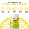 Vegs Mango Juice Powder - Freeze Dried Organic Mango Juice