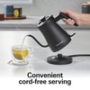 Hamilton Beach Compact 20 oz. / 0.6 Liter Gooseneck Electric