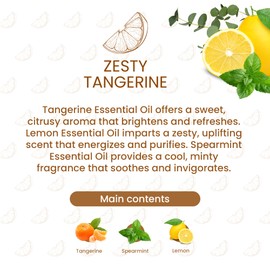 Liquid Hand Soap Refill With Essential Oils, Zesty Tangerine Scent, 32oz