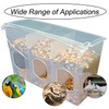 Automatic Pigeon Bird Feeder Water, Plastic Feeder Water Dispenser Drinkers