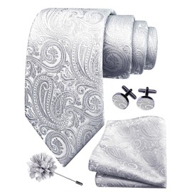 GUSLESON Silver Tie for Men Wedding Silk Paisley Necktie Pocket Square Cufflinks and Lapel Pin Brooch Set (6103-39)