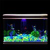 TAVICE 100 Pcs Pebbles Stone Glow in The Dark Rock