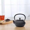 HwaGui Iron Tetsukin, Teapot, Hail Kettle, Direct Fire, Iron Supplement,