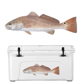 10" X 4" Redfish Decal Red Drum Fishing Decals Facing Left UV Protected Outdoor Vinyl Fish Stickers Fish Decals Red Drum Artwork Lifelike Decal Facing Left by Skiff Life