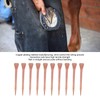 250Pcs Horseshoe Nails Copper Plating Shoeing Nails with Plastic Box