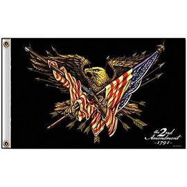 USA Shall Not Infringe 2nd Amendment Bald Eagle And Firearm Flag Decoration