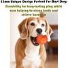 Smart Interactive Dog Toys Ball,Shaky Ball Toy Dogs, Automatic Moving