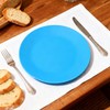 AOYITE Plastic Dinner Plates Reusable BPA Free Dishwasher Safe Microwaveable