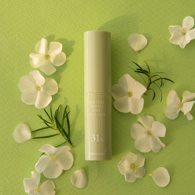 Derma Share Trouble blemish care spot calming soothing stick multibalm