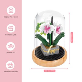 LUFEIS Flower Building Blocks Set, Rose Immortal Bouquet Building Block with Protective Case, Artificial Plants Building Blocks for Adults, Gift for Mum Girlfriend (White Phalaenopsis)