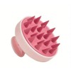 2-in-1 Hair Care Set - Detangling Brush & Shampoo -