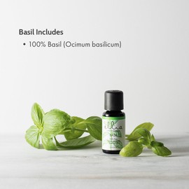 Ellia Aromatherapy Therapeutic Grade Basil Essential Oil for a Diffuser 15 ml 6 ct