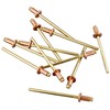 Connex COXT197306 Copper/Bronze Blind Rivets, Brown/Gold, 3.2 x 6 mm,