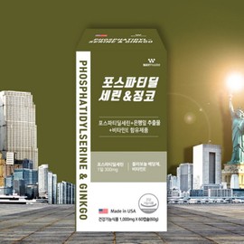 Wayfarm Postadylserine Ginkgo 1000mg x 60 capsules x 2 health functional food / 웨이팜 포스타딜세린 징코 1000mg x 60캡슐 x 2개 건강기능식품