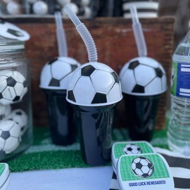 Fun Express 12 Pieces Baseball, Football, Soccer, Basketball and Sports Ball Cup Assortment, BPA Free Plastic, Birthday Party Supply, Multi-Color