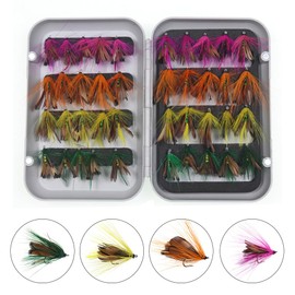 SagaSave Pack of 40 Butterfly Fishing Lures Fishing Baits with Trident Hooks Fly Fishing Lures Kit Assortment Trout Flies with Box Case
