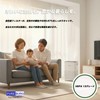 PUREBURG Replacement Filter Compatible with Balmuda The Pure White Air