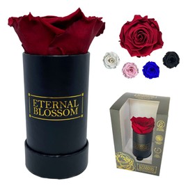 Eternal Blossom Preserved Real Infinity Rose | Eternal Rose That Lasts Over A Year | Black Box | With Gift Box (Rouge Red)