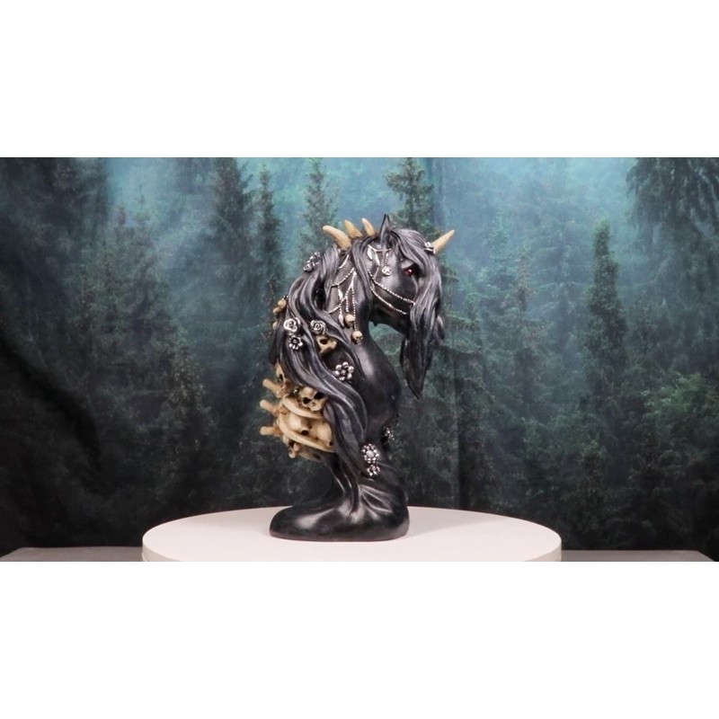 Macabre Black Dark Unicorn Horse With Skeleton Bones And Skulls
