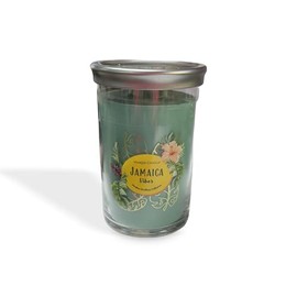 Yankee Candle Scent: Jamaica Vibes, Caribbean Collection 20 Oz 2-Wick Tumbler Candle, Tropical Palm & Patchouli Scent