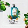 Herbal Essences Champú 865 Ml Shampoo