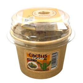 cactus cultivation kit
