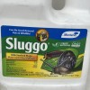 Monterey Slugg
