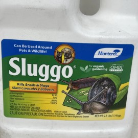 Monterey Slugg