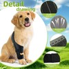 Dog Knee Brace Support for Torn ACL Hind Leg, Adjustable