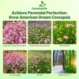 Outsidepride American Dream Pink Coreopsis Seeds - 500 Pcs Perennial & Hardy Flower Seeds for Planting w/Fine Foliage, Ideal for Borders, Pollinator-Friendly Gardens, & Low-Maintenance Landscaping