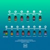 ZENZEI | CHAGA | 100 dosis — 100% Natural y