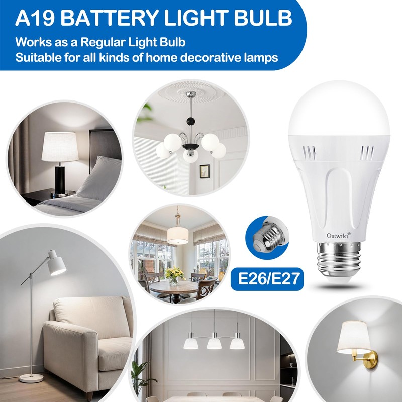 Ostwiki 6 Pack A19 Rechargeable Light Bulbs for Lamps 6500K
