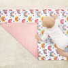 Winmany Baby Plush Blanket for Boys Girls Soft Minky Blankets