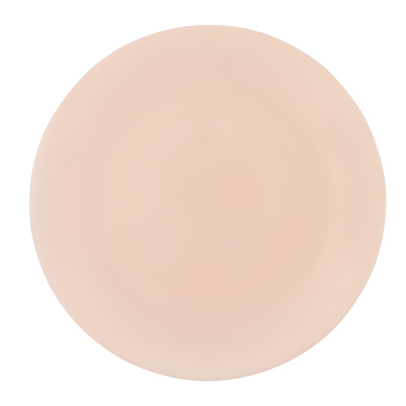 PLASTICPRO 64 Pack Elegant Disposable Plastic Plates Combo Set Includes