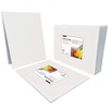 PHOENIX Small Painting Canvas Panels 6x8 Inch, 12 Value Pack