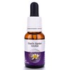 Living Essences Start's Spider 15ml