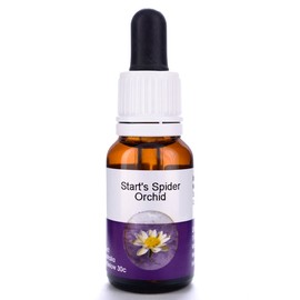 Living Essences Start's Spider 15ml