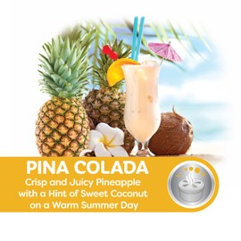 Refresh Your Car! Air Freshener (Pina Colada RF Scent, 1 Pack)