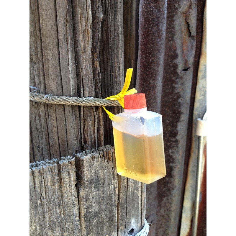 Clarke Natural Animal urupi- The Solution There's No Reason