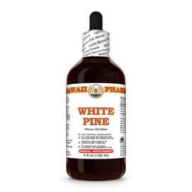 White Pine (Pinus Strobus) Dry Bark Tincture, All Natural, Vegan, Pure Liquid Extract - 4 fl.oz