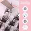 Renata Beauty Luxury Look Multipack of 48 Cluster Eyelashes for