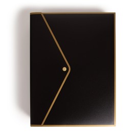 U Brands Black and Gold Poly Document Holder, 10 Count