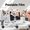 ZEMRTWAY 3 Pack Funny Meme Cat Badge Reels, Retractable ID