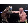 Deontay Wilder vs Tyson Fury Boxing Professional Boxer Cover Poster