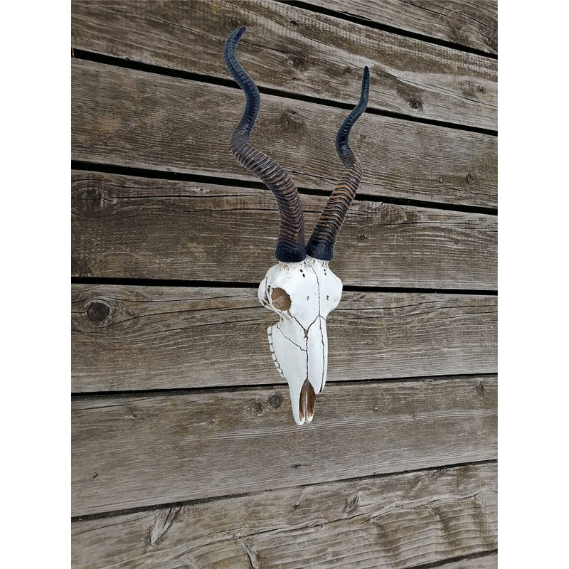 Top Brass 14 1/2" African Kudu Antelope Skull - Wall